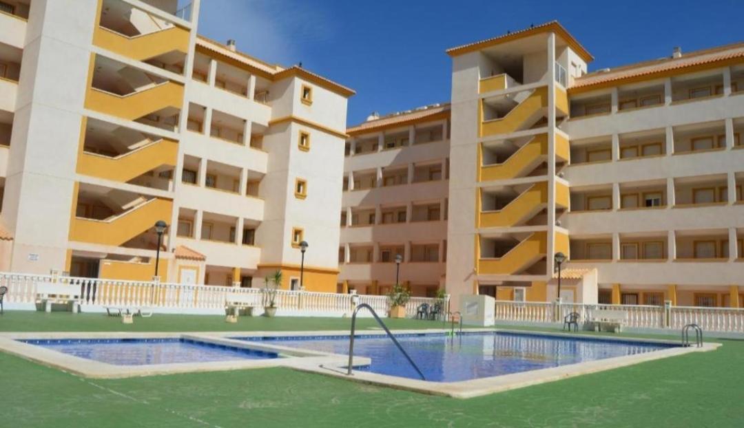 Palmerita 5 *