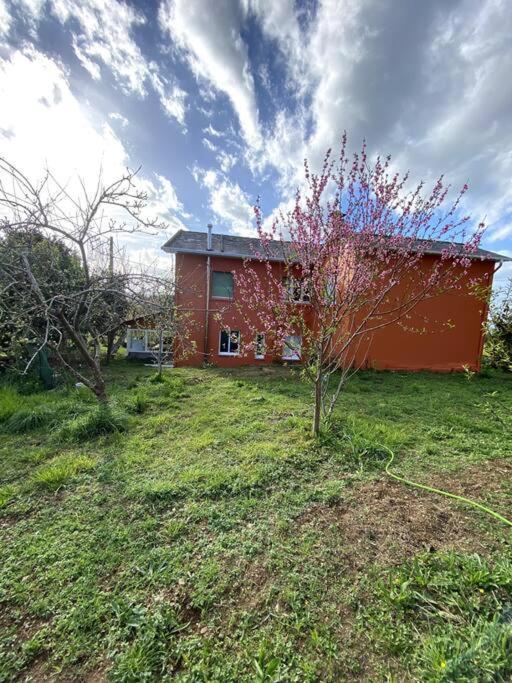 Apartment Bajo Casa Paquita Castropol