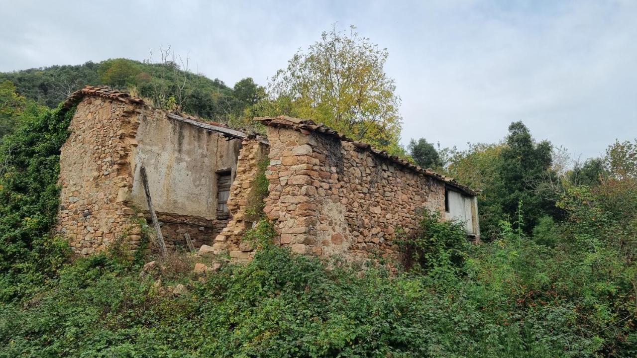 Ca La Pauleta Holiday home Sant Hilari Sacalm