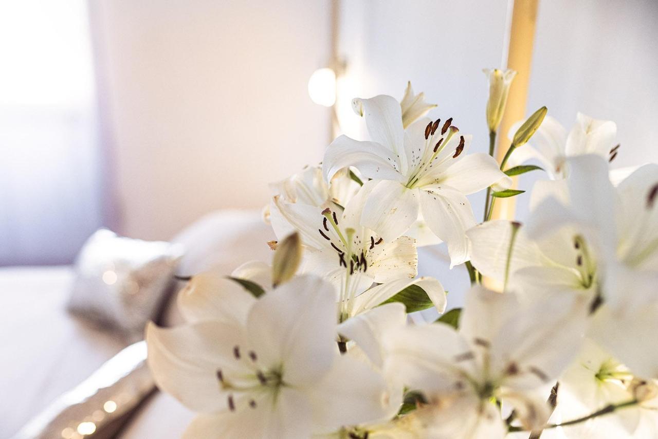 Nord Boutique Hotel Estellencs (Estellenchs)