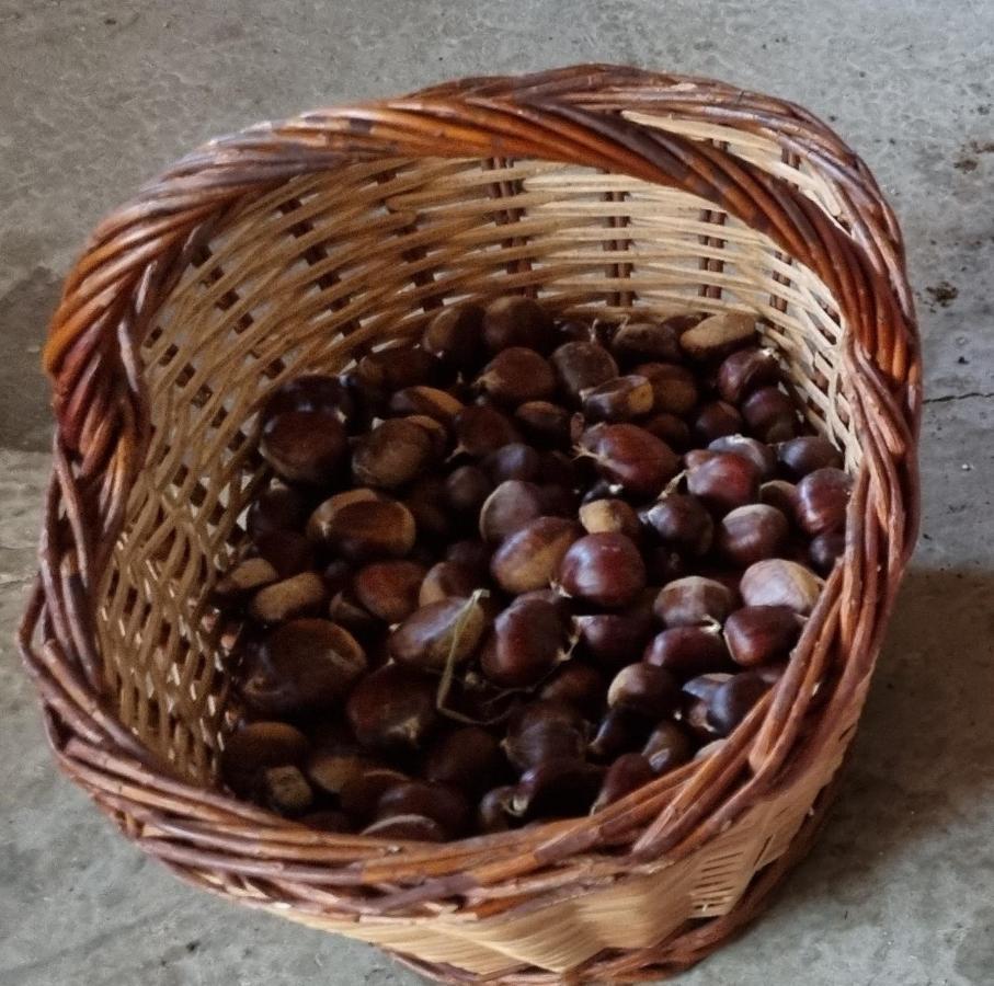 Ca La Pauleta Sant Hilari Sacalm