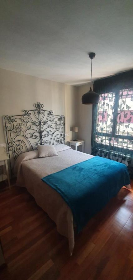 Apartment Asturleku *
