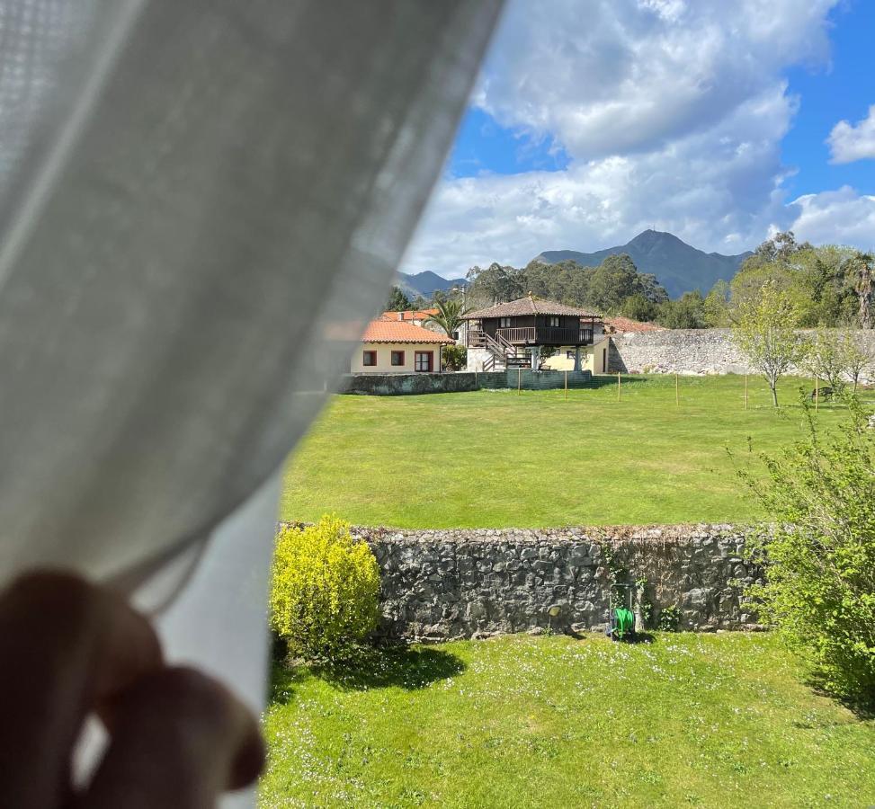 Rural El Texeu