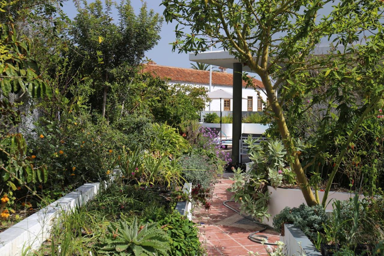 Apartment Jungle Paradise La Orotava