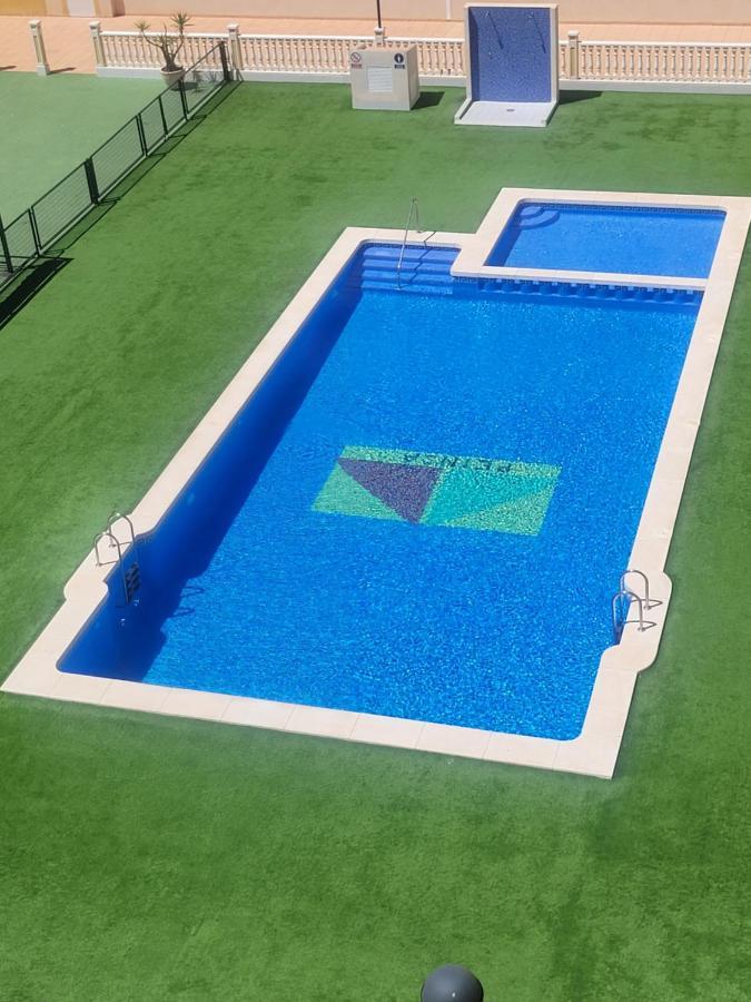 Palmerita 5 *