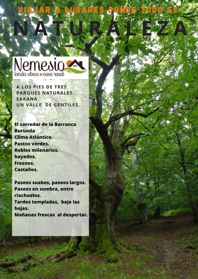 Nemesio Casa rural *