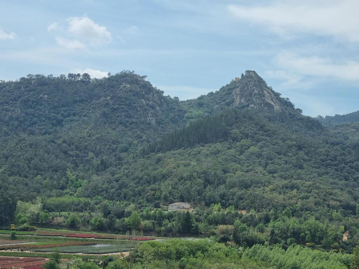 Ca La Pauleta Holiday home