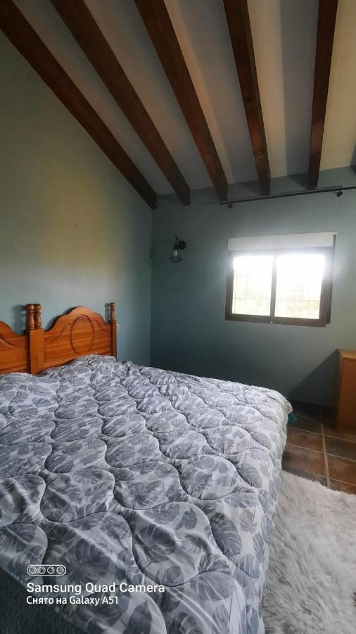 Guest house A In A Private *