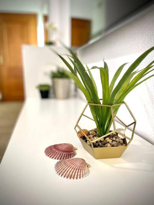 Apartamento Mychoice Liana By Bossh! Rota