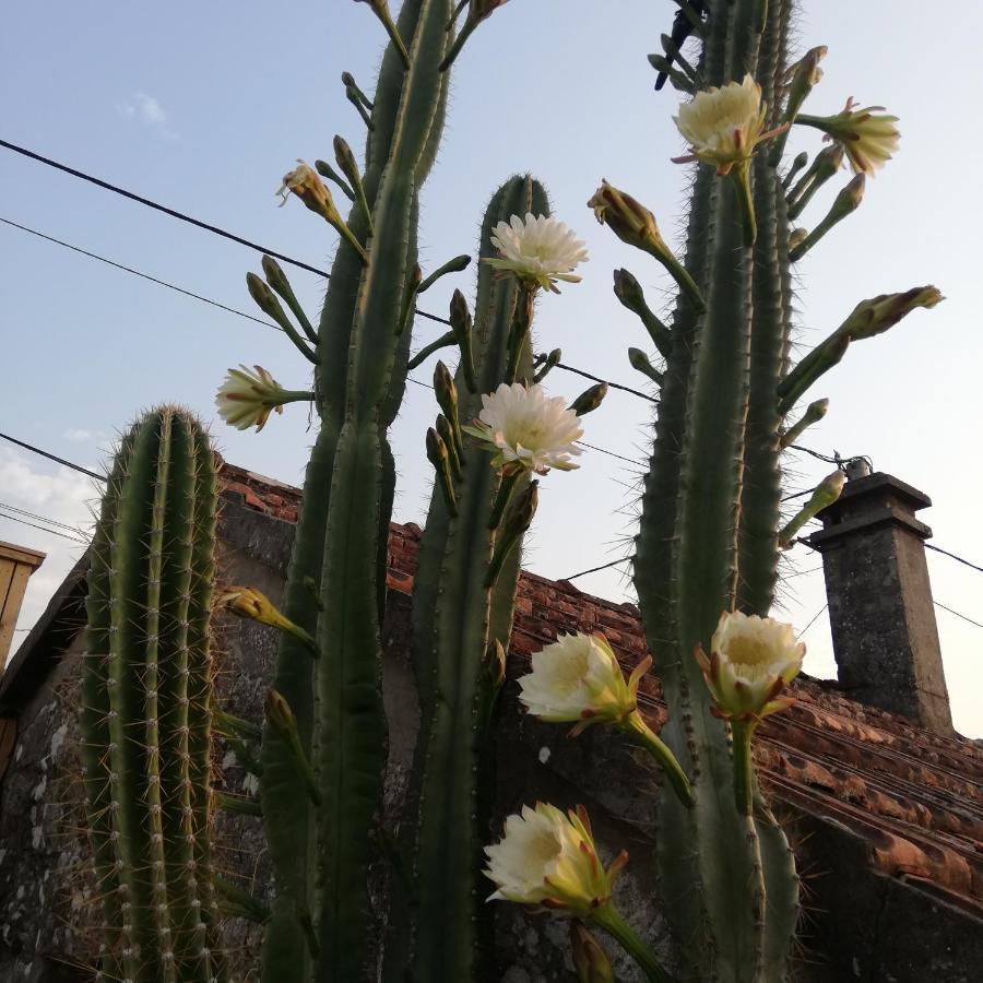 A Casina Da Eiravella * Hio