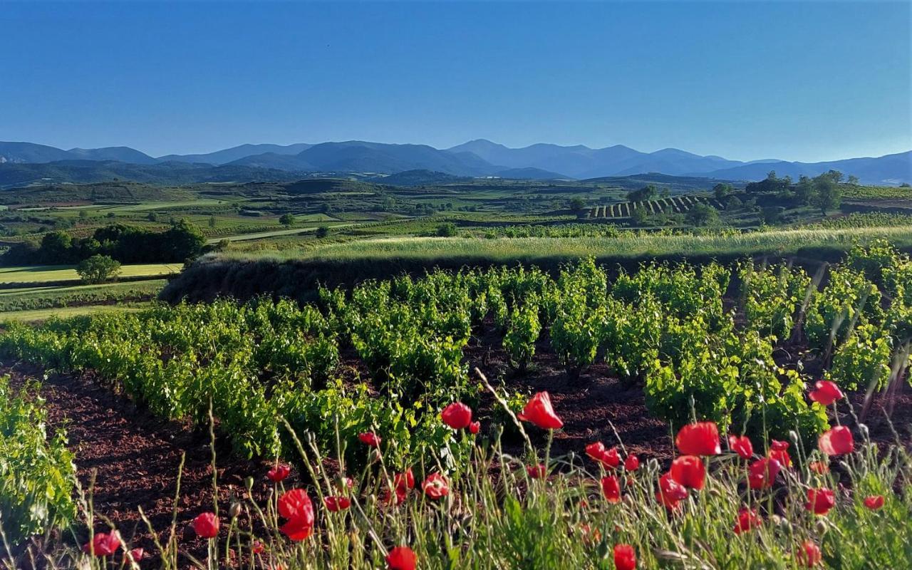 Turismo Golf Naturaleza Y Vino Apartment