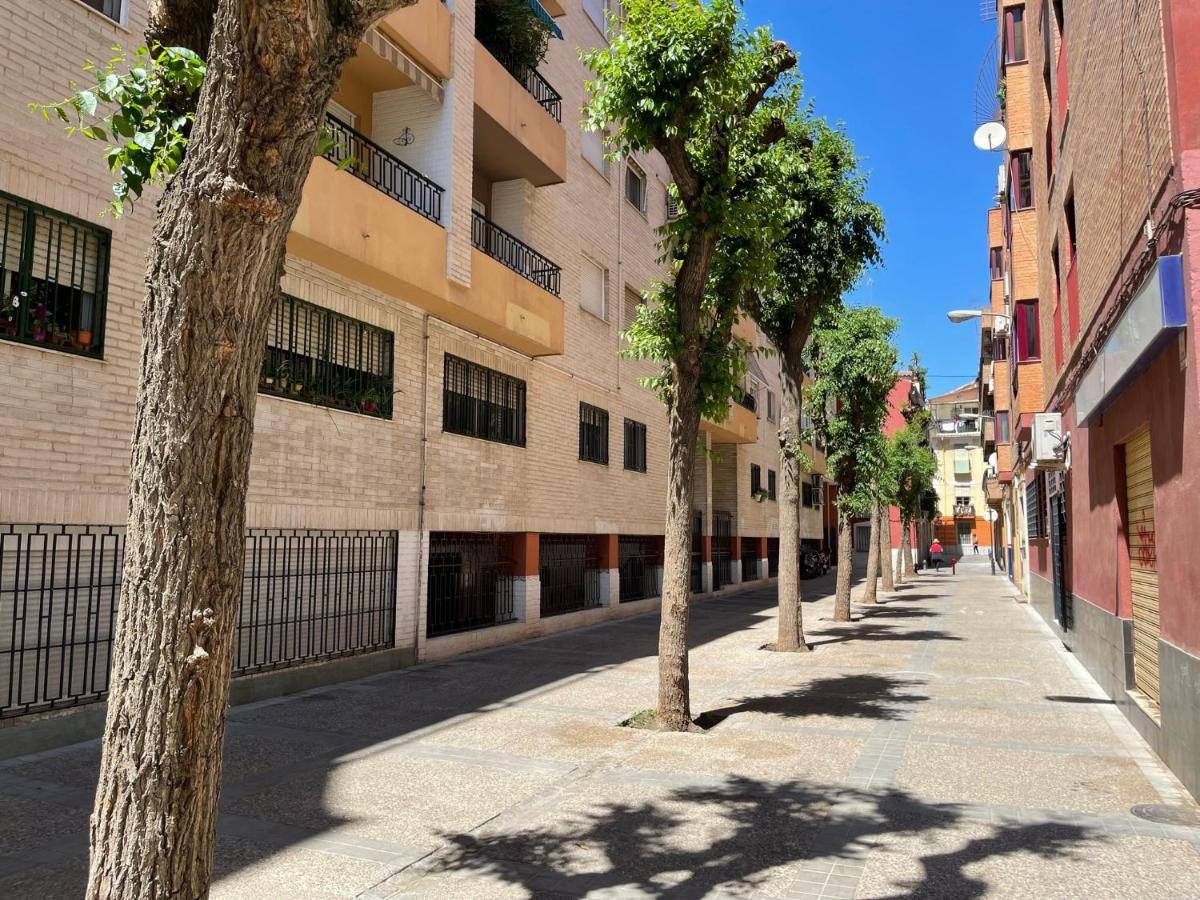 Vivienda Turistica Paseo Del Salon Apartment *