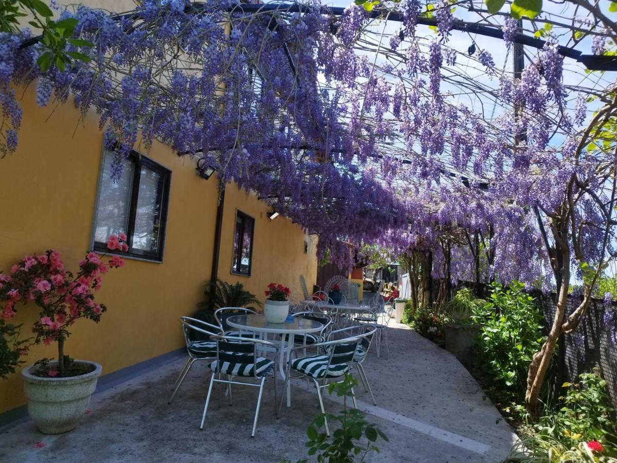 Casa Da Vieira