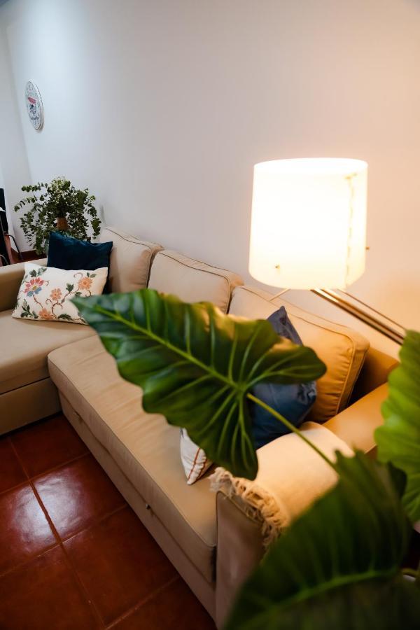 Surfing San Vicente Apartamento