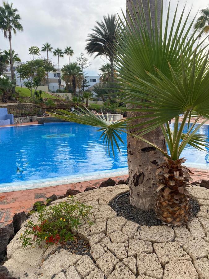 Dream Studio 626 Tenerife *