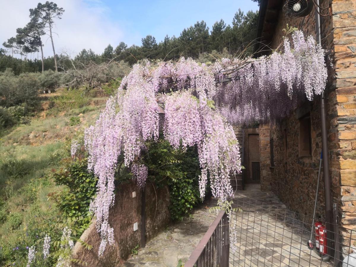 Alqueria De Hurdes Country house Horcajo (Caceres)