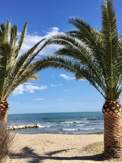 Apartamento La Caracola *