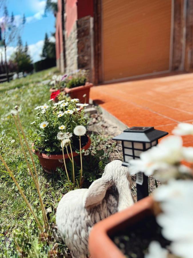 Apartment Cel I Fusta