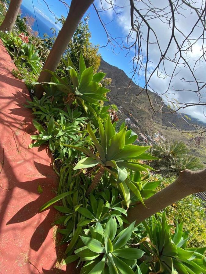 Corralitos