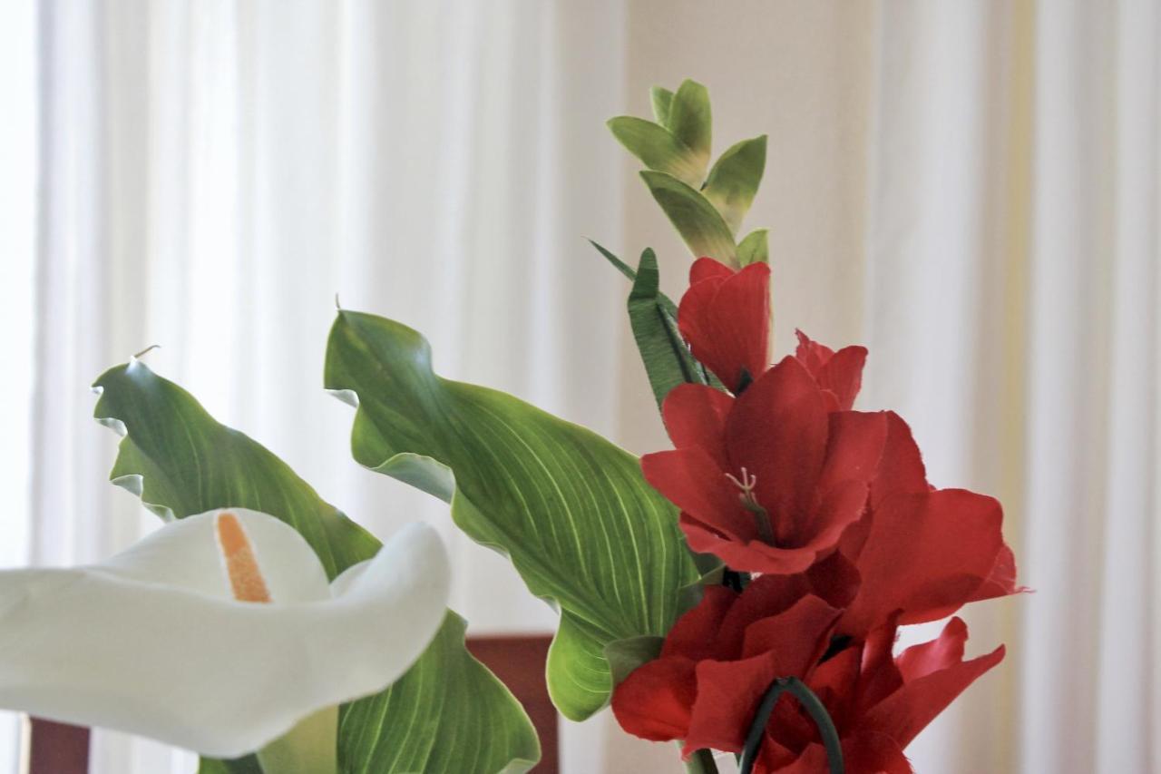 Currina - 7801