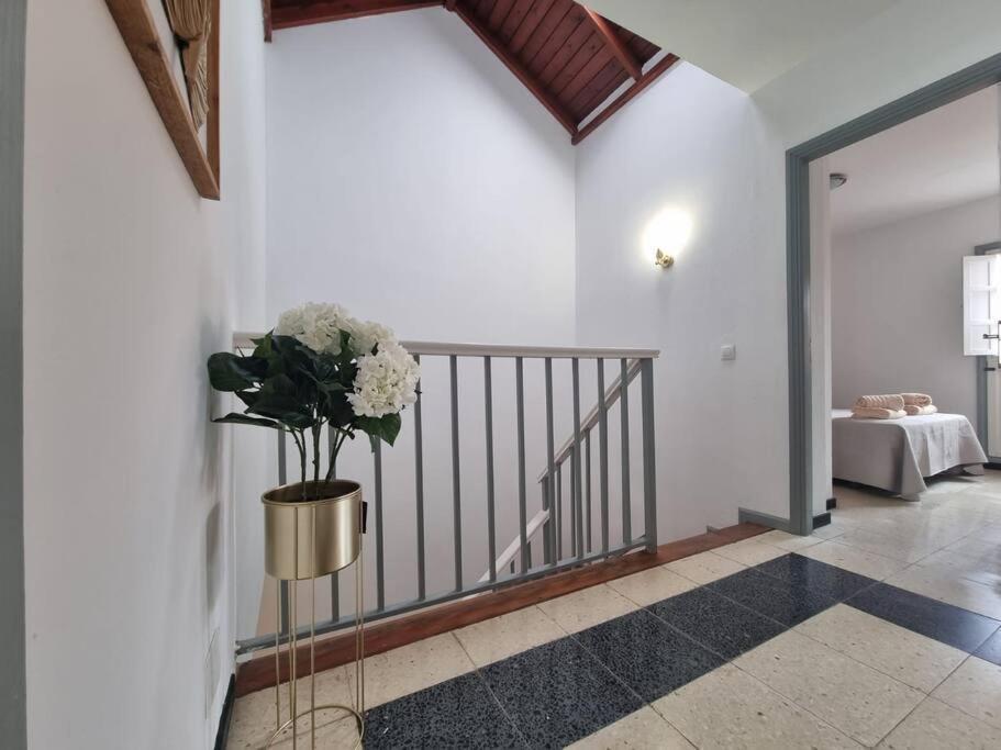 Apartamento House