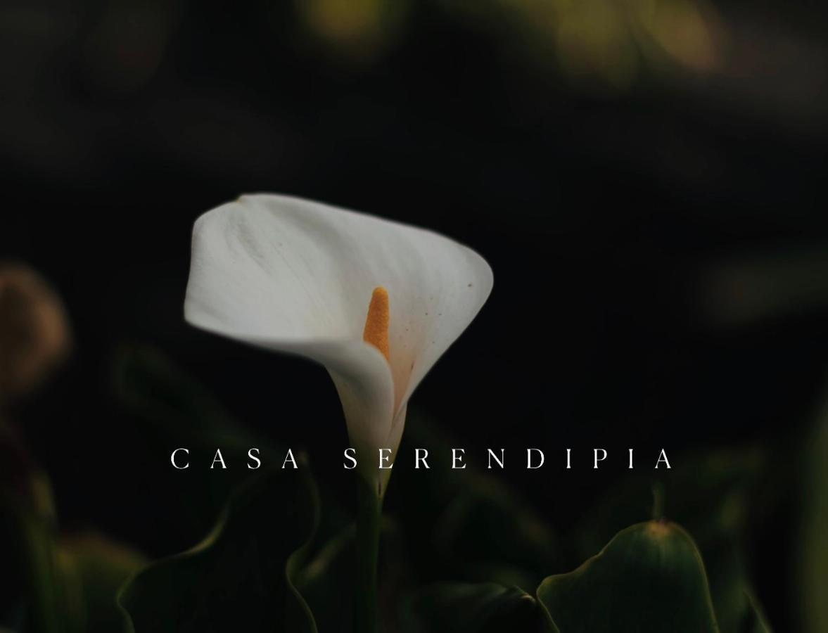 Casa Serendipia Сasa de vacaciones