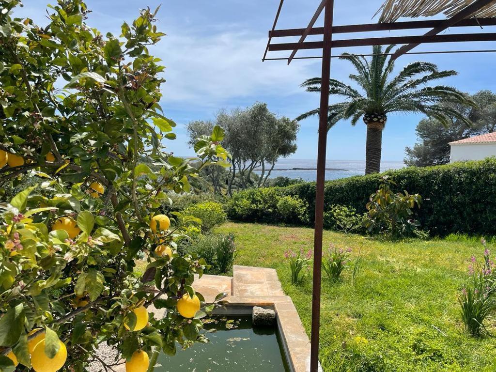 Villa Platja Binisafua