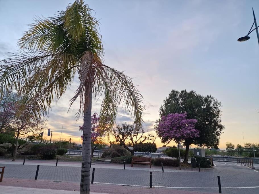 Jacaranda Apartamento