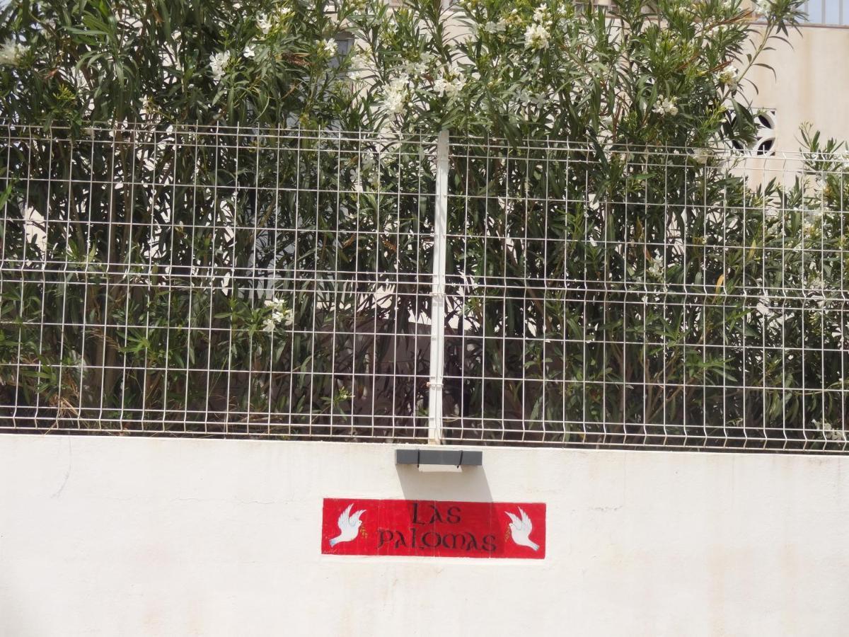 Palomas, 2 Avec Piscine Apartamento Turís