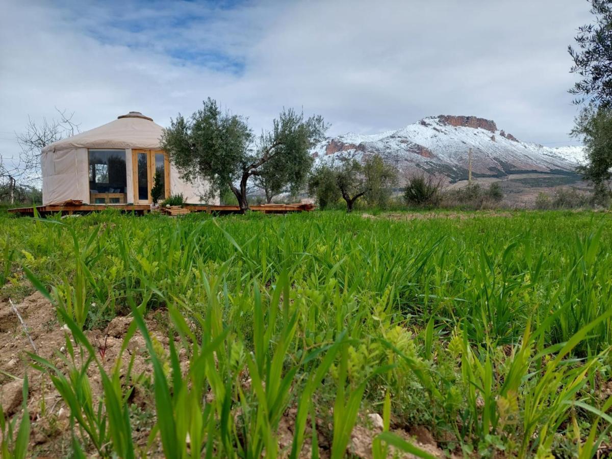 El ático De La Casa Viva