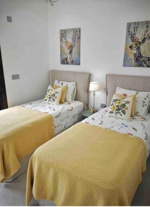 Bahia Homes Holiday home Torrevieja