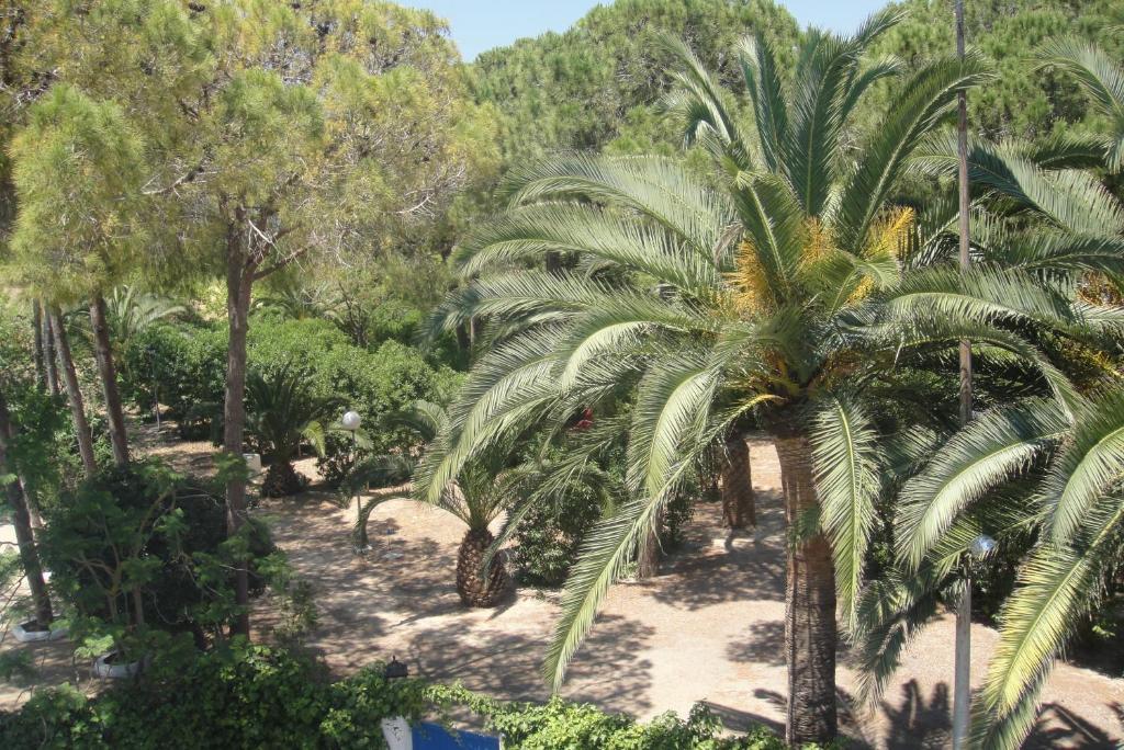 Camping San Antonio Campsite San Antonio (Ibiza)