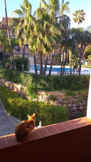 Apartamento Planta Baja Cerca De La Playa Costa Casares