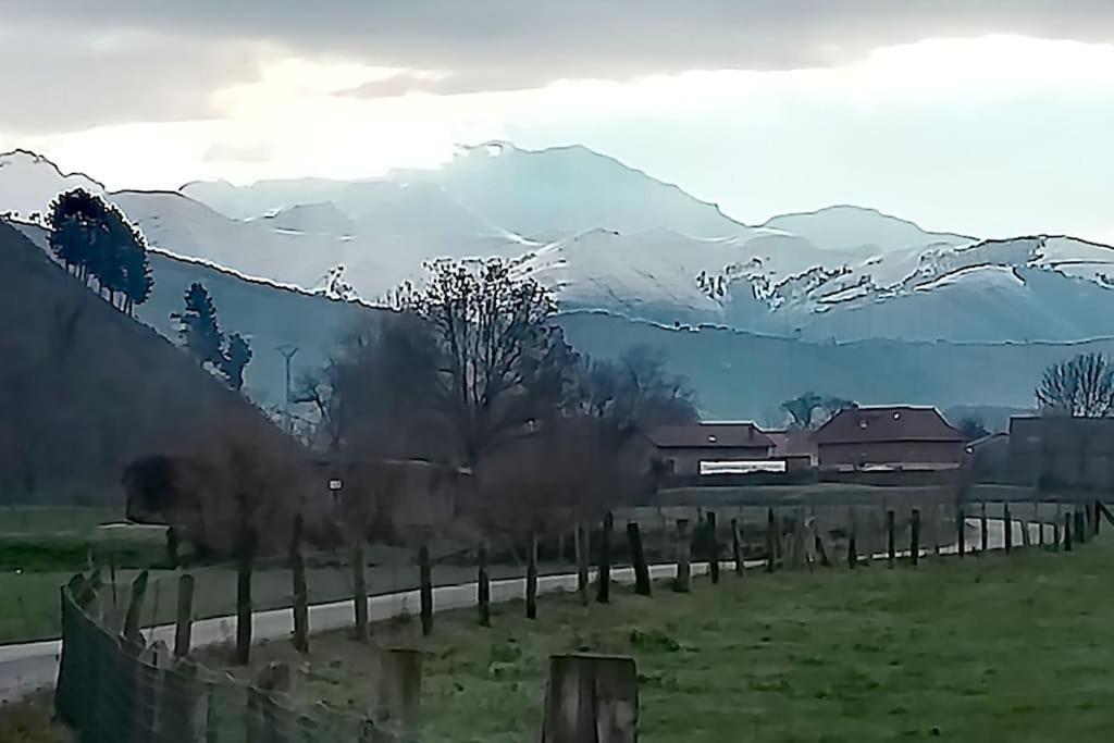 Casa El Envero * Saro