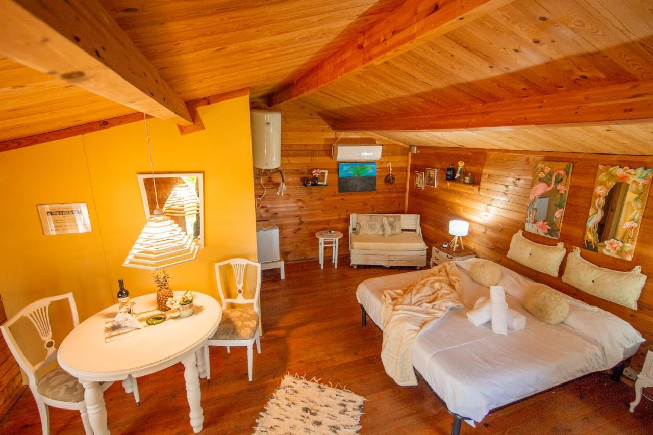 Bed and breakfast Finca Miraval-el Blanco *