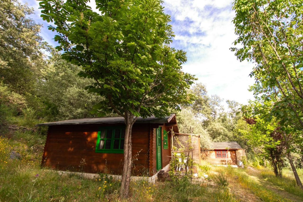 El Verde - Romantica Cabana De Madera Con Vistas 3*