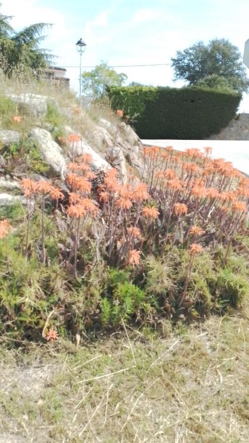 El Refugi Platja D'aro 4 * Romanyà de la Selva