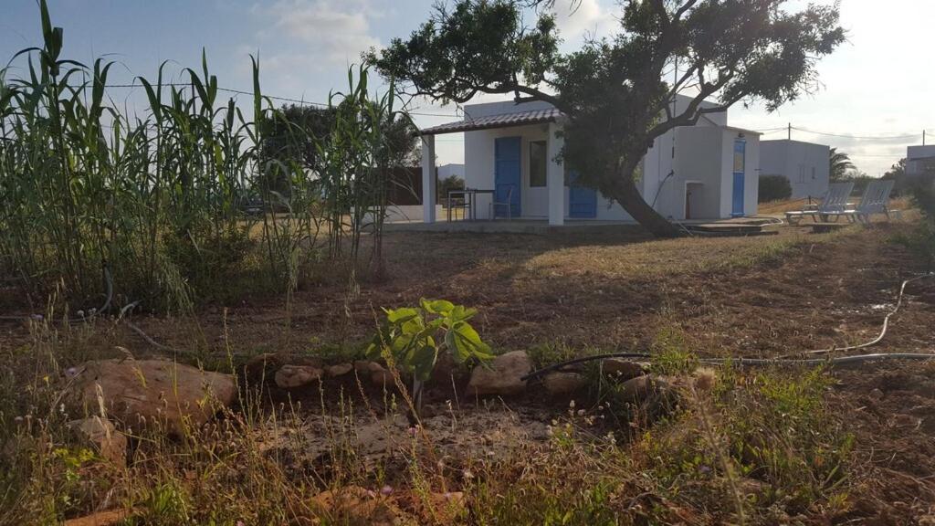 Casa Paty, Estudio Rural. Sant Ferran Formentera * Sant Ferran de Ses Roques