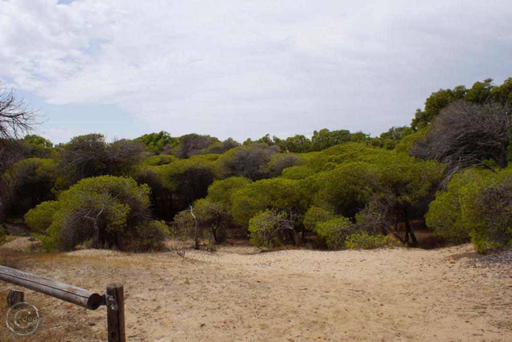 Hnaturamar-3 Guardamar del Segura