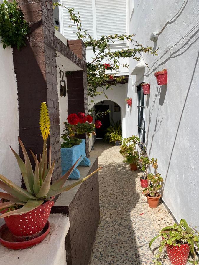 Conil Homes V