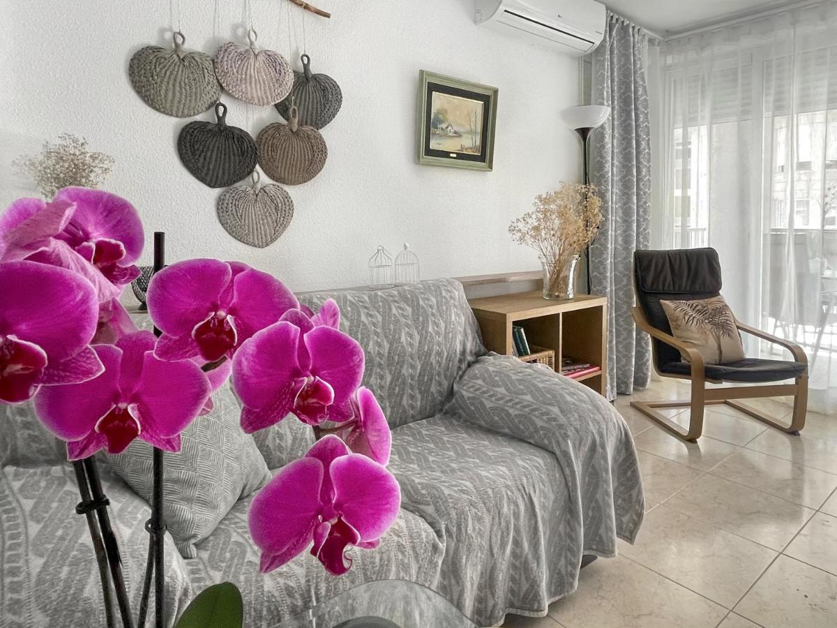 Apartment Orquidea Con Piscina