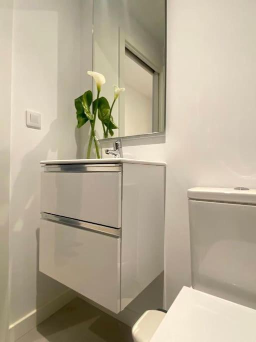 Estudio A Estrenar Totalmente Nuevo En Camelias. Apartamento *