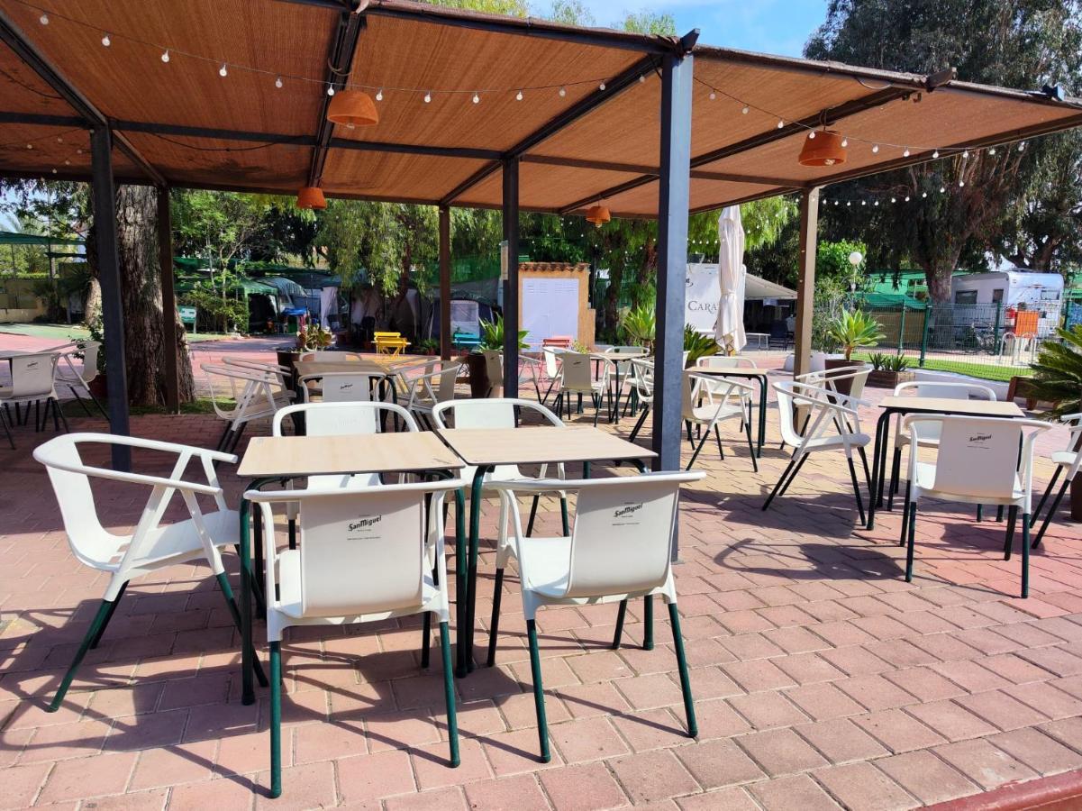 Campsite El Jardin El Campello