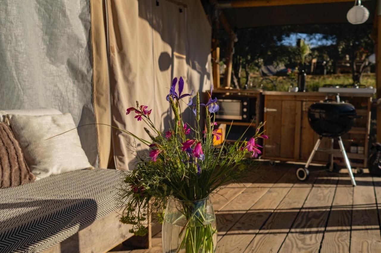 Tienda De Safari Almagro Luxury tent Montecorto