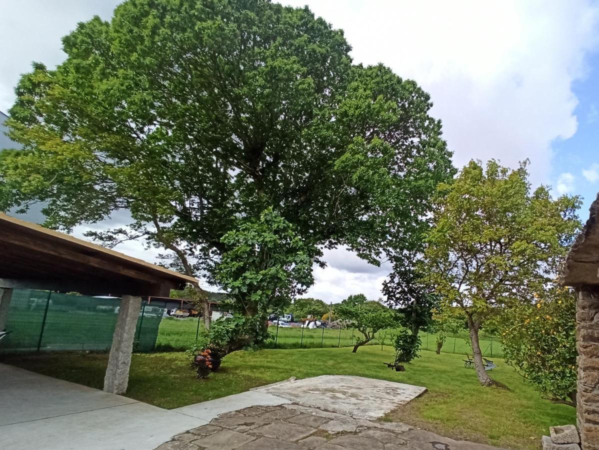 A Casa Do Campo * Zas