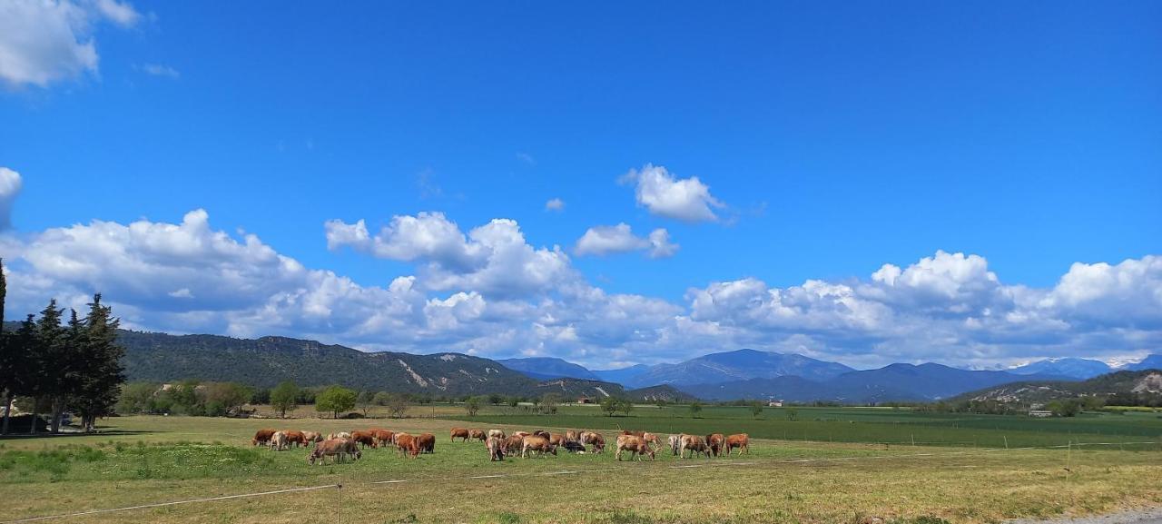 Apartamento Pirineo Aínsa