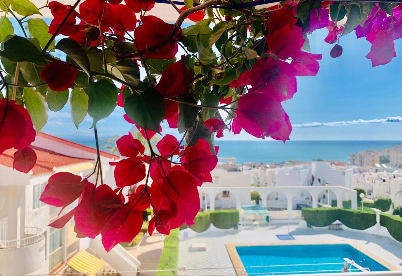 Seaview La Mata Pool&beach Apartment *