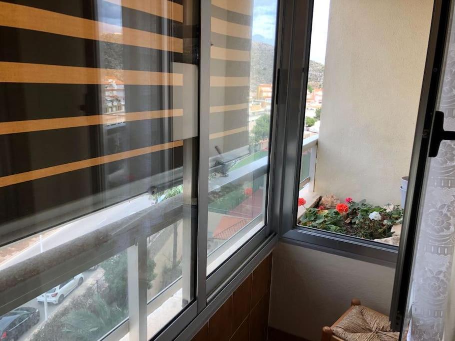 En Florazar 2, Apartment *