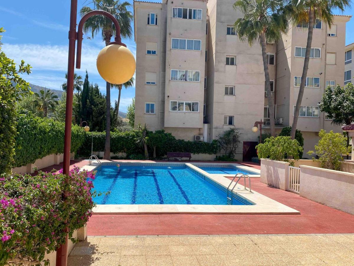 Bon Dia Albir