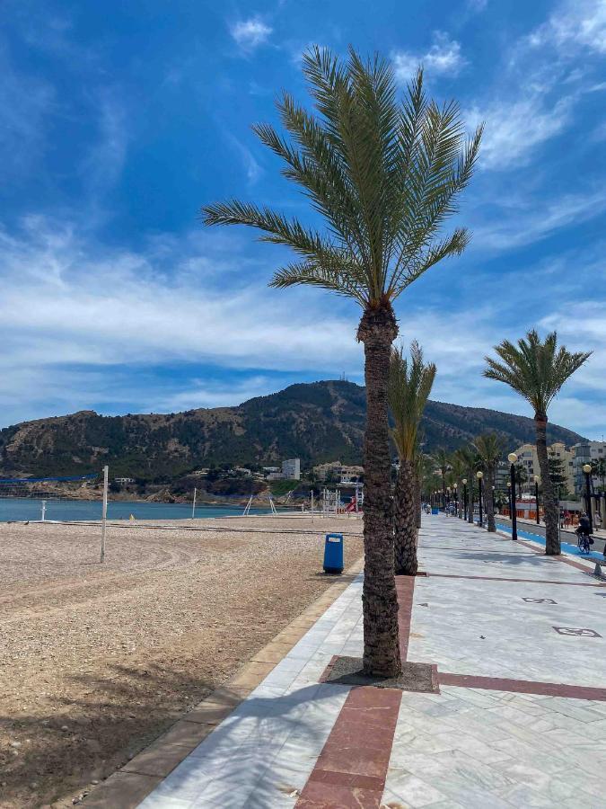 Bon Dia Albir * El Albir
